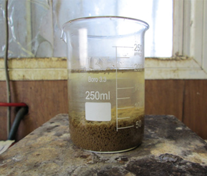After Physic-Chemical Stage